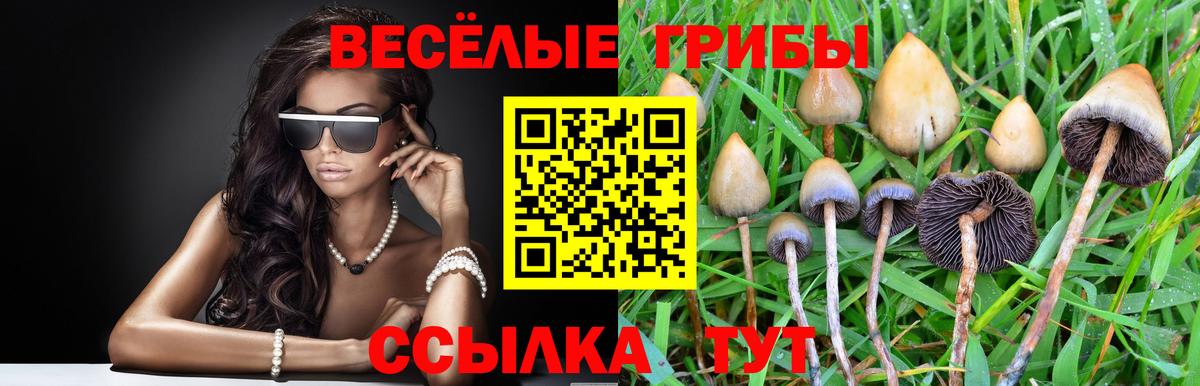 Джанкой  Псилоцибиновые грибы Psilocybe  Вход с VPN 